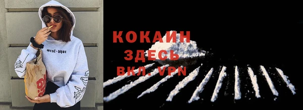 круглые Тайга