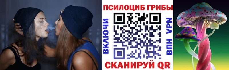 закладка  Сретенск  Галлюциногенные грибы прущие грибы 